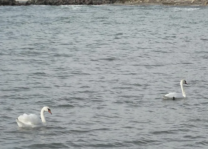 Aparthotel Akrotiria Complex 4*